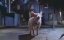 ����: ��������� � ������ / Babe: Pig in the City - �������