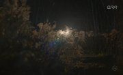���������� ������ / The Wall � Cover Your Tracks (La faille) - 3 �����, 6 �����