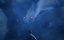 ������������ ������ / Coiling Dragon - 1 �����, 6 �����