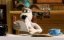    -      / The Nick Park Collection - 