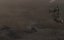   / Android Uprising - 