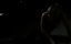   / Stalked - 