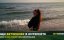  / Il Predatore - 
