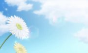 �������� ��� ̸��� / Tantei wa Mou, Shindeiru - 2 �����, 4 �����