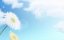 �������� ��� ̸��� / Tantei wa Mou, Shindeiru - 2 �����, 4 �����