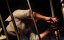 :   / The Resonator: Miskatonic U - 