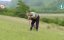 ���� � ������ / �� � ������ - ������ ����� ������ / Dogs & US The secret of our friendship / Hund und Mensch: Das Geheimnis einer Freundschaft - �����