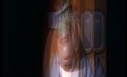  / Dinosaurs - 2 , 13 