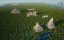 .     / Naachtun, la Cité Maya Oubliée / Naachtun, the Forgotten Mayan City - 