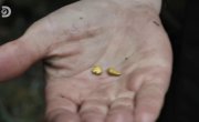  :   / Gold Rush: White Water - 5 , 8 