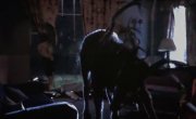 :   / Bambi: The Reckoning - 