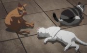     / Nyaight of the Living Cat - 1 , 6 