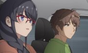 ,    - / Seishun Buta Yarou wa Bunny Girl Senpai no Yume o Minai - 2 , 3 