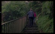   / A Journey in Spring - 