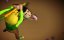 ��������� ������. ��������� ���� / Fruit Ninja - 1 �����, 7 ����� "�������_���_�������"