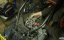 ������ Aprilia Leonardo 150 Rotax �158
