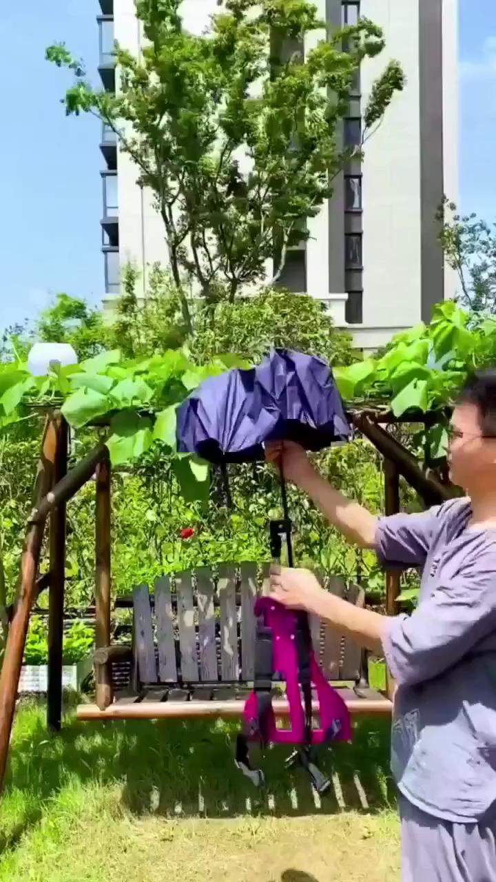 ������