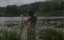   / Here Alone - 