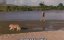    / To Walk With Lions - 