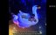 :   / Untold: Johnny Football -   