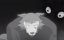 ���������� ����� / Beastars - 3 �����, 16 �����