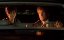 ������� / Bulworth - �����