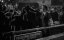 ,    / The Day the Earth Stood Still - 