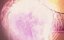   / Happily N - 
