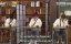 ������� ������� / Running Man - 6 �����, 501 �����