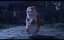  / The Amazing Maurice - 