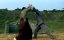   / Fist of Legend - 