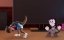    / Forget Me Not - 