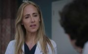 �������� ������� / Grey's Anatomy - 22 �����, 11 �����