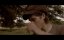     / The Beast of Bodmin Moor - 