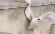 ������������ ���� �� ��������������