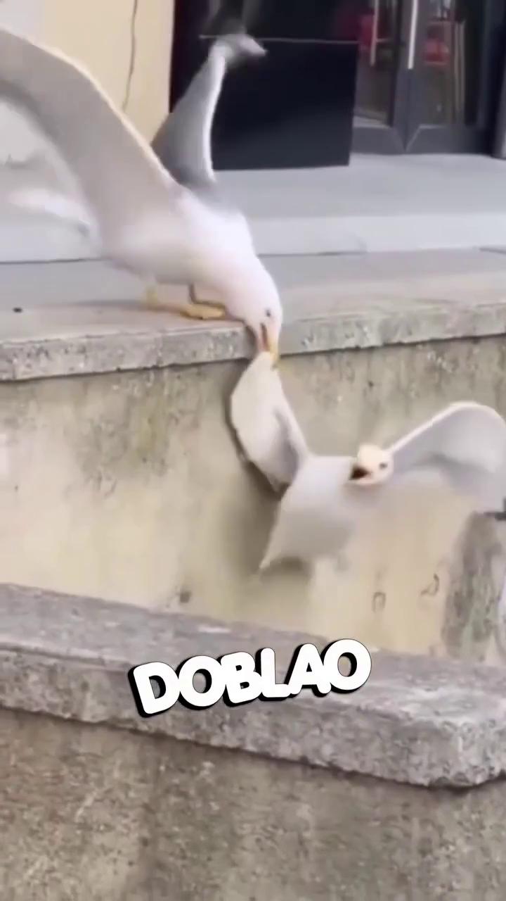 ������