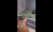 ������ � ������� �������