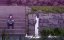���, � ������� ������� ������ / Kujima Utaeba Ie Hororo - 1 �����, 8 �����