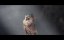 ����� ������ / Amor salvaje / Wild Love - �������