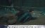 :   / :    / Mojin: Kunlun Shrine / Candle in the Tomb: Kunlun Shrine / Kunlun Shengong - 