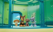   / PAW Patrol - 11 , 24 