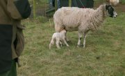 ����� ��������� / Clarkson's Farm - 5 �����, 4 �����