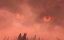   / Perfect World - 1 , 214 