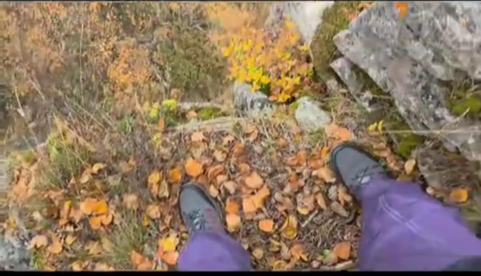 ������