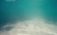 ������� ����� / Atomic Shark - �����