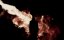   / Stanley Stanton - 