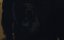  / The Demolisher - 