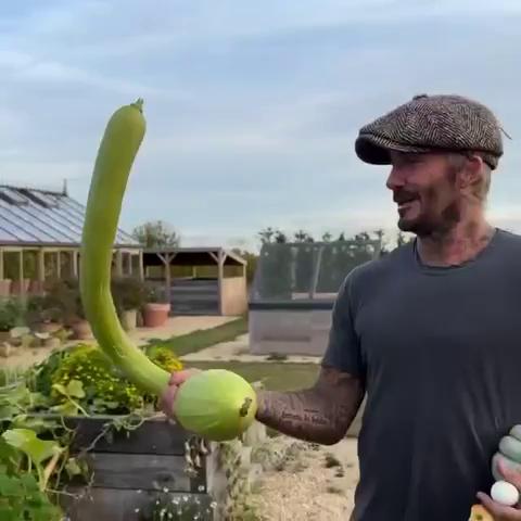 ������