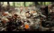Овцы / Sheep - 1 сезон, 4 серия