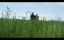 ���� ������� / The Shade Shepherd - �������
